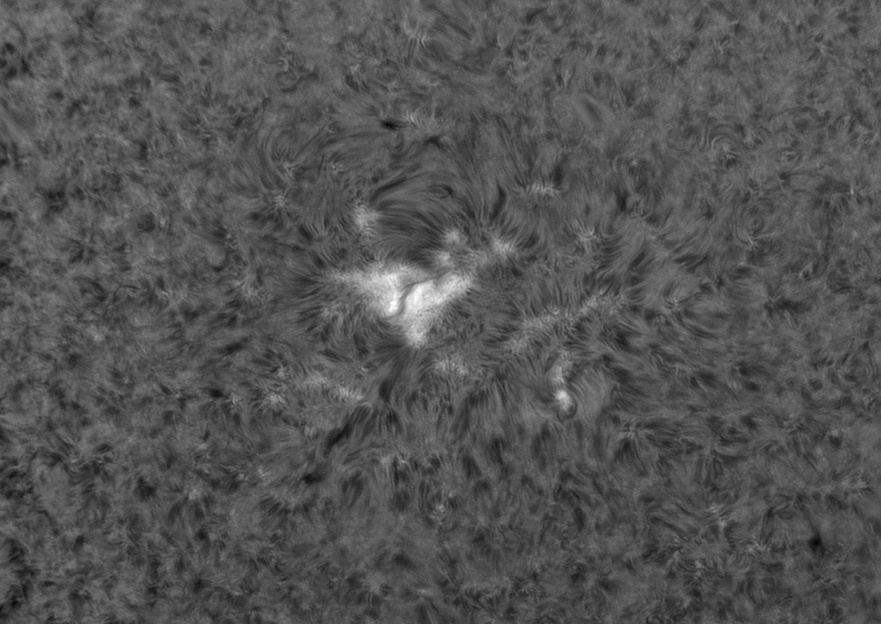 Halpha sun May 9, 2010 on Vimeo